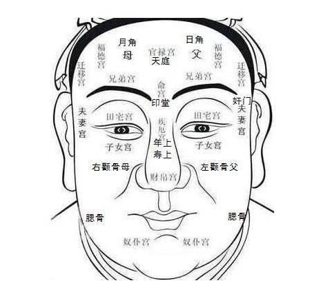 面相岁数